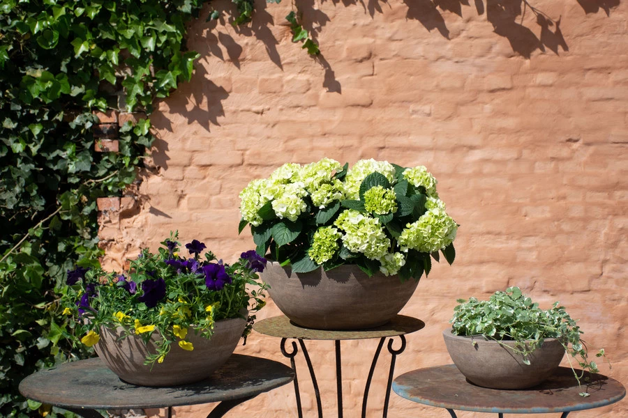 Bloemschaal Mterra Rond Handgemaakt 46x18 Cm - Afbeelding 2