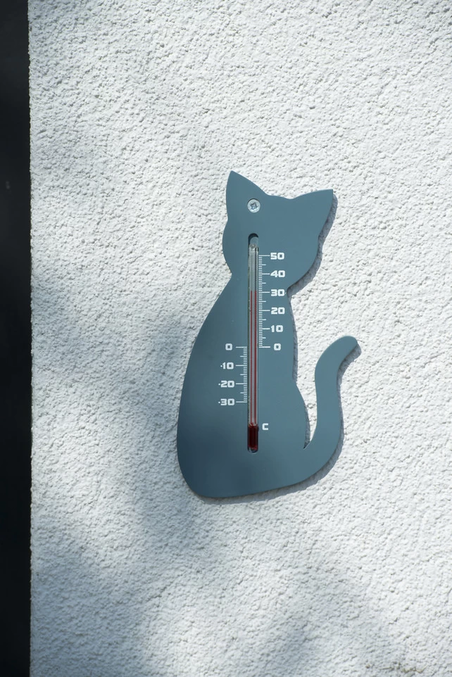 NATURE Buitenmuurthermometer Kat Grijs - 15x9.5x0.3 Cm - Afbeelding 3