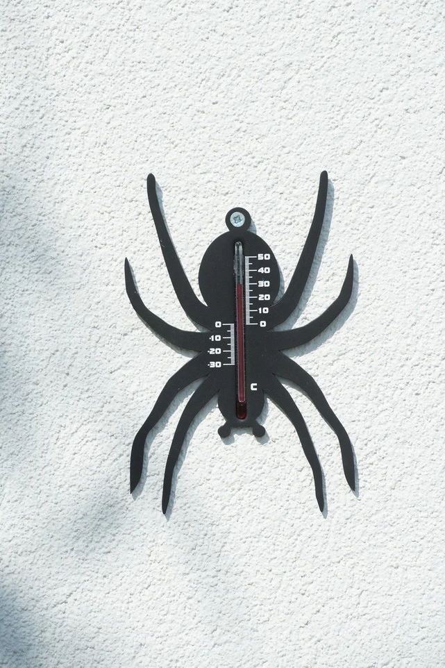 NATURE Buitenmuurthermometer Spin Zwart - 15x10x0.3 Cm - Afbeelding 3