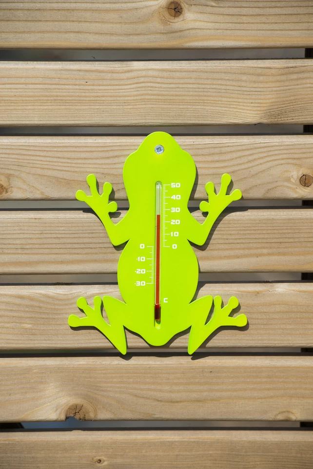 NATURE Buitenmuurthermometer Kikker Groen - 15x11x0.3 Cm - Afbeelding 3