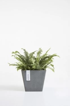 Ecopots Rotterdam Vierkant Grey LxBxH 40x40x36cm