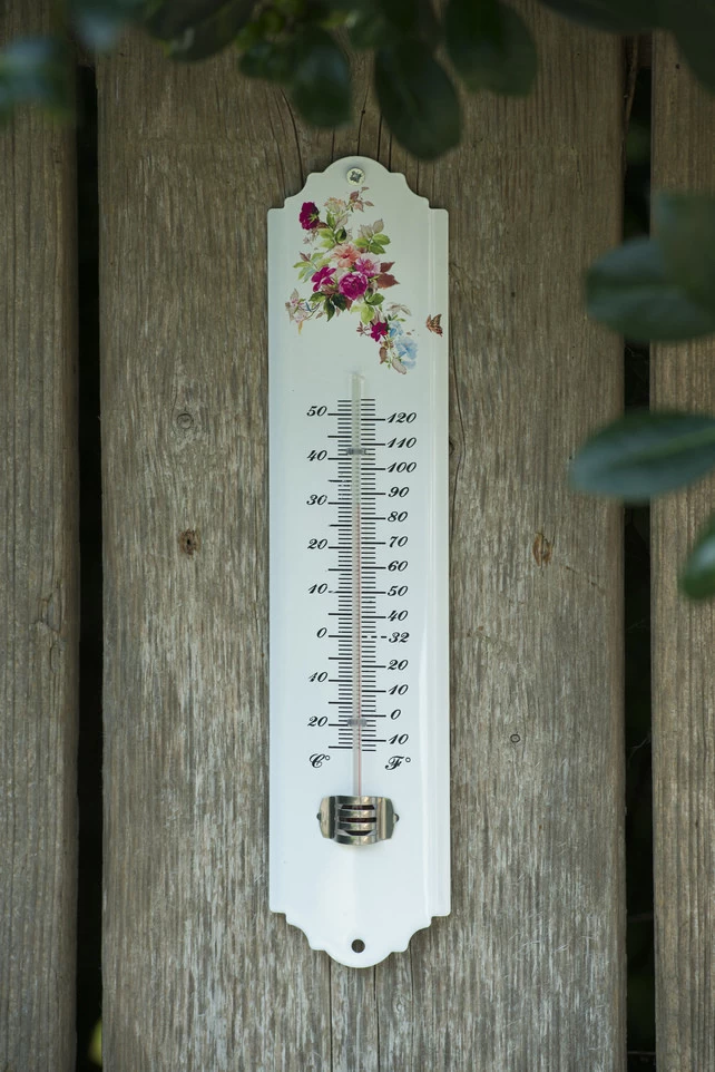NATURE Buitenmuurthermometer Wit Bloemen Kelvin 16 - Metaal - 30x6.5x1 Cm - Afbeelding 3