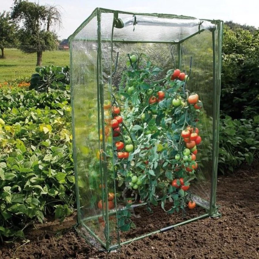 Nature Tomatenserre Met Bodemframe En Ritsdeur 150x100x50 Cm - Afbeelding 2