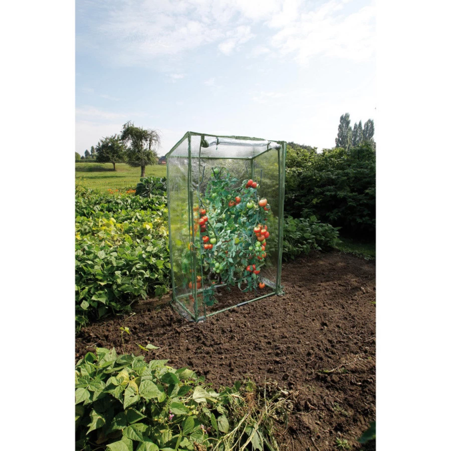 Nature Tomatenserre Met Bodemframe En Ritsdeur 150x100x50 Cm - Afbeelding 3