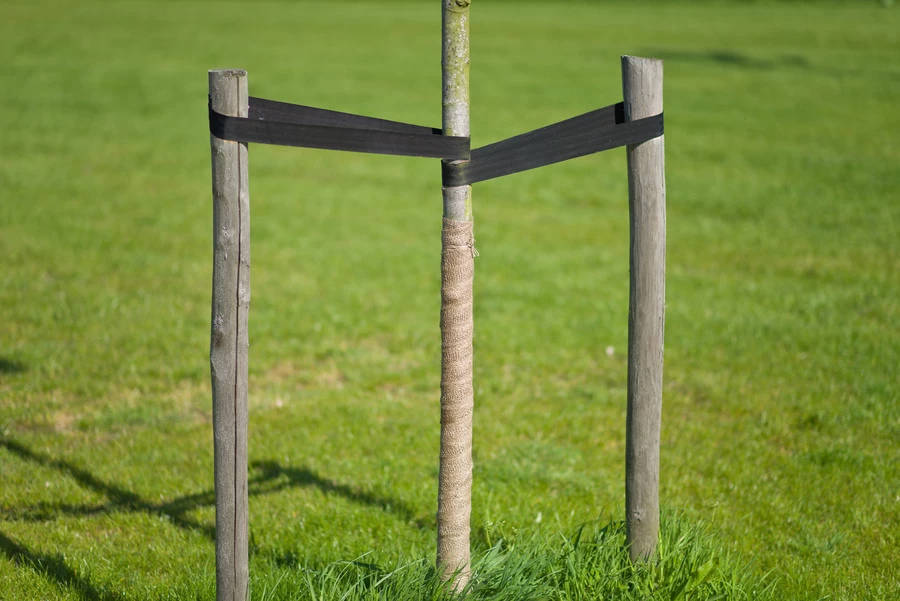 NATURE Jute Band Naturel 10 Cm X 25 M - Afbeelding 2