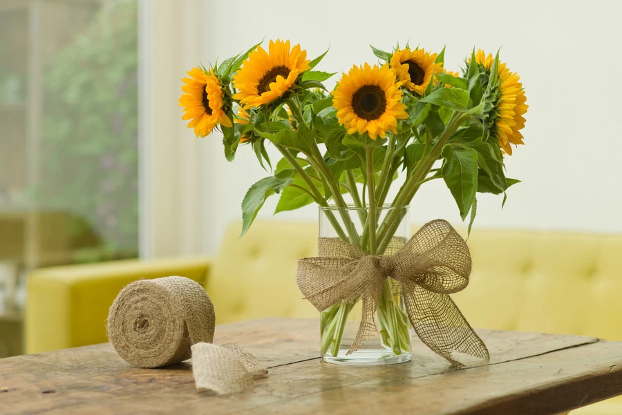 NATURE Jute Band Naturel 10 Cm X 25 M - Afbeelding 3