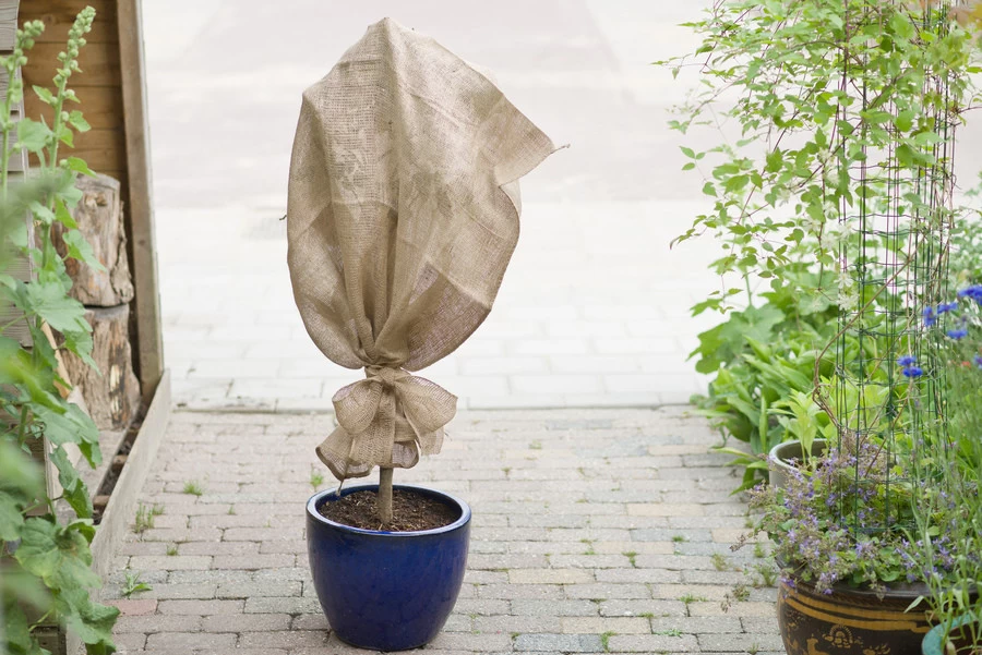 NATURE Jute Band Naturel 10 Cm X 25 M - Afbeelding 4